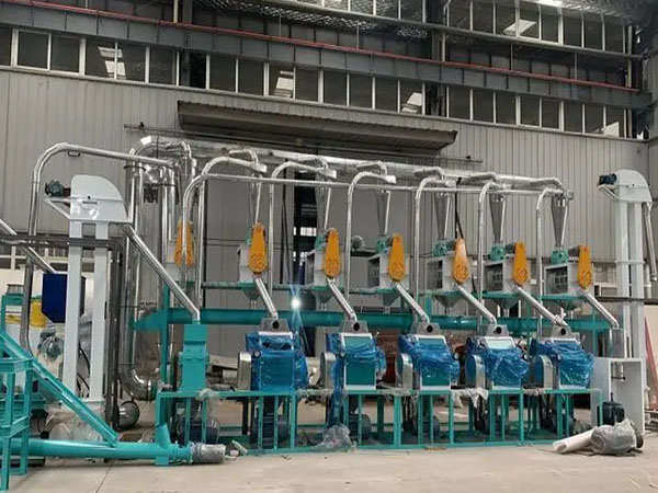 <a href=http://http://m.qimokatong.com/product/6/ target=_blank class=infotextkey>玉米加工機械</a>