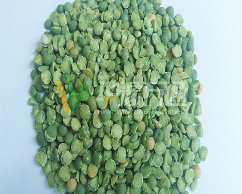 <a href=http://m.qimokatong.com/product/8/ target=_blank class=infotextkey>豌豆脫皮機(jī)</a>